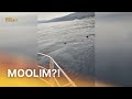 Istarski Ribar Snimio Morskog Psa Zovu Ga I Basking Shark Pas Koji Se Sunča RTL Direkt