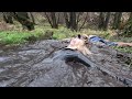 Video 97 Flood Pla In Taster Latex Catsuit Riding Boots Jodhpurs Mud Water Wetlook Wam