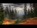 Forest's Lament - Bernward Koch