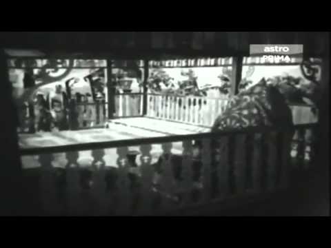 musang berjanggut...last part..