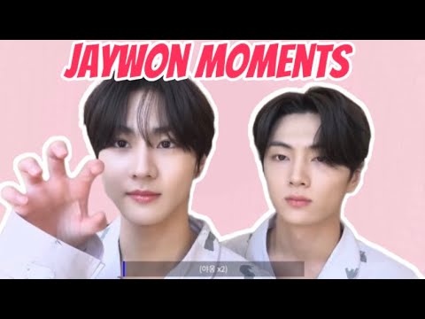 Jungwon And Jay Being Boyfriends (Jaywon Moments) 