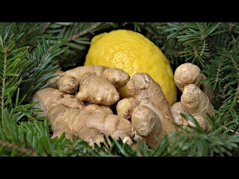 Mikstura z imbiru i miodu