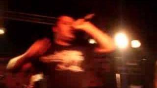 Peter and the Test Tube Babies - Moped Lads