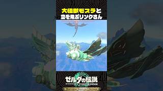 大怪獣モスラと空を飛ぶリンクさん【ゼルダの伝説 ティアキン】