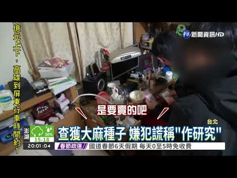 警臥底加入社團 破獲大麻交易
