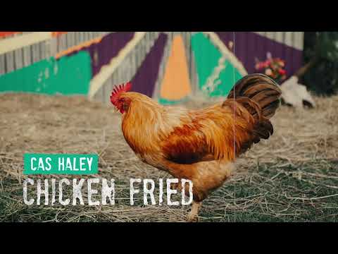 Cas Haley - Chicken Fried (Reggae Cover) [Official Audio]