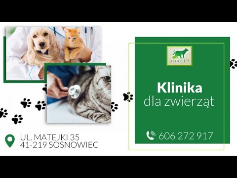 Zobacz filmy, Przychodnia Weterynaryjna "ABACUS" Małgorzata Wasilewska-Golba, Sosnowiec