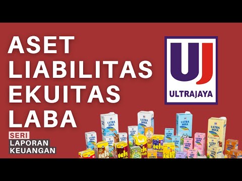 What is Assets Liabilities Equity Profit?