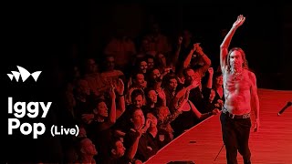 Iggy Pop -