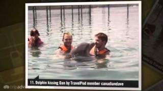 preview picture of video 'Dolphin Surfing Canadiandave's photos around Holguin, Cuba (swimming with dolphins in holguin)'