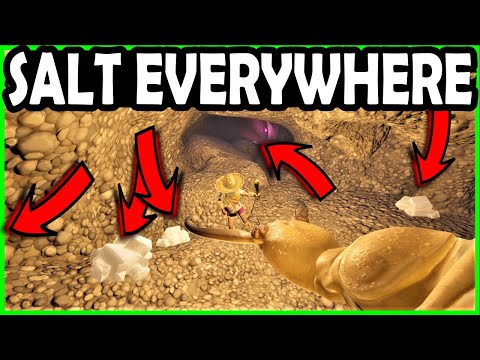 Salt Mine with 40 Salt Shards in Grounded