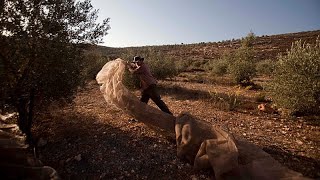 Dürfen EU-Staaten Importe aus israelischen Siedlungen verbieten?