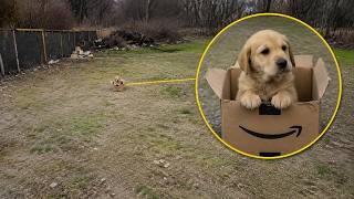 Someone Left Him in an Amazon Box, but then This Happened