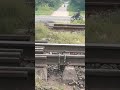 Detik Detik Ular Mahe Lilin Di Lintas Kereta Api