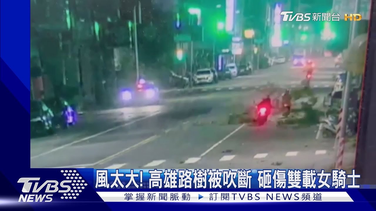 風太大！高雄路樹被吹斷　砸傷雙載女騎士