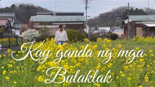 Mahalimuyak na bulaklak