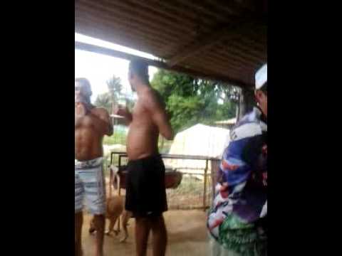 Biricutico show show