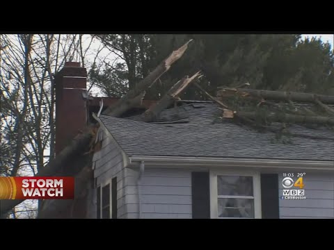 Trees Damage Homes Across Massachusetts