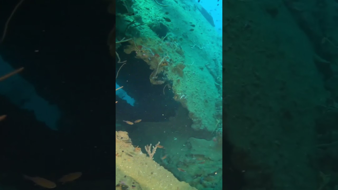 YouTube Short thumbnail