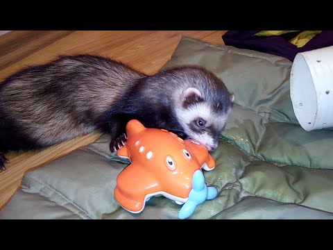 Важная информация!