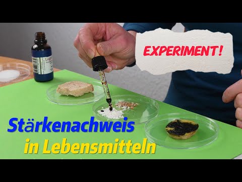 Forsche mit uns! Experiment: Stärkenachweis in Lebensmitteln