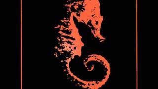 The Sea Nymphs - The Sea Ritual (Peel Session)