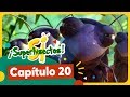 El Misterio De Las Flores SuperInsectos Ep 20 Pakapaka