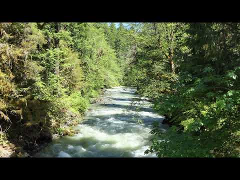 ROSALIA /CALM MUSIC/ CHILL MUSIC /PLAY AND DISAPPEAR / SPANISH TRADITIONAL MUSIC