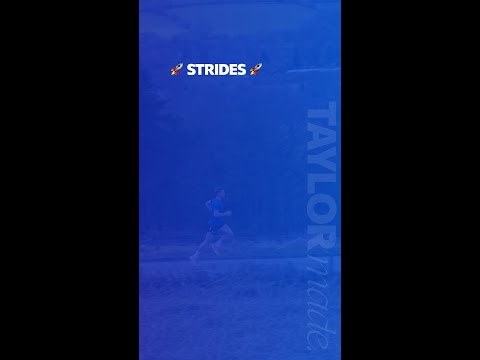 🚀 Strides Tutorial