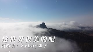 Download lagu Zyboy忠宇 - 這世界很美的吧『可是我們彼此的回憶 也不會因此再度改變』【Lyrics Video】 mp3