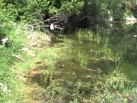 Zdrimacko Pijavičko jezero 2