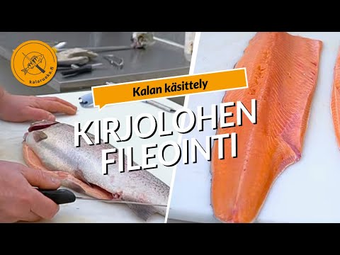 Kirjolohen fileointi |Kalankäsittely