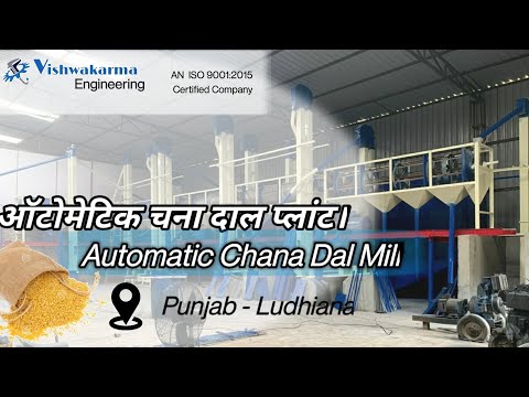 Pulses Processing Machine