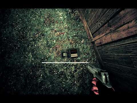 Irina Nestle Protopopova