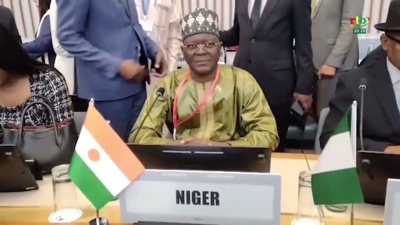 Dialogue ministériel de haut niveau sur le secteur de la santé en Afrique