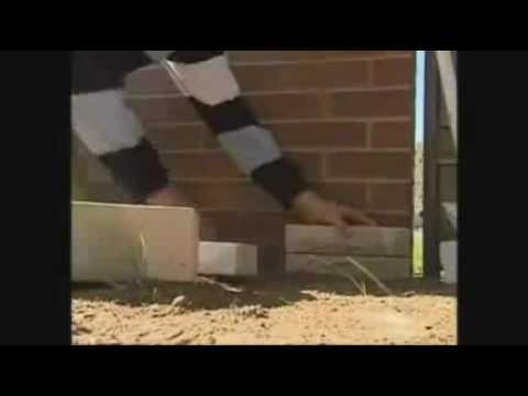 Prime Wagga Wagga Thumbnail