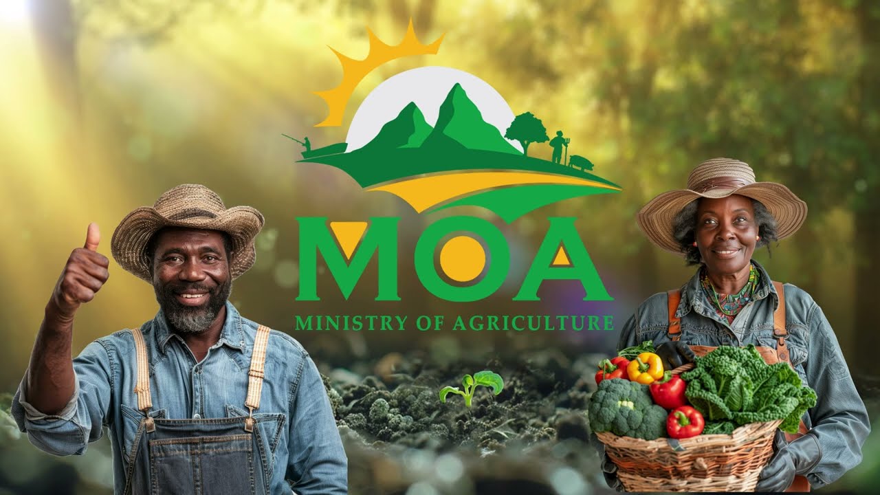 MINISTRY OF AGRICULTURE FOOD FAIR 2024