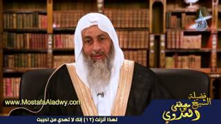 لهذا أنزلت 12 إنك لا تهدي من احببت