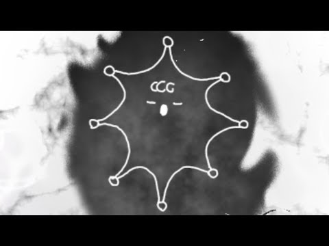 Kikuo - 愛を探して