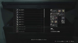 【バイオハザードRe：2 輸入北米版】ゾンビと戯れる配信