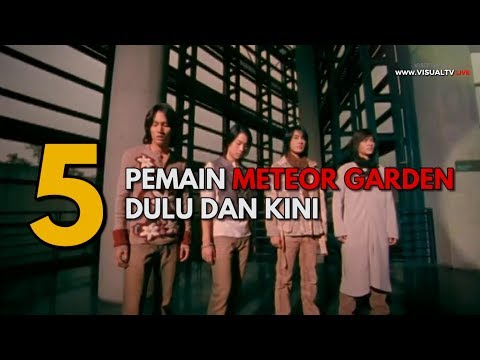 Apa kabar para pemain serial meteor garden