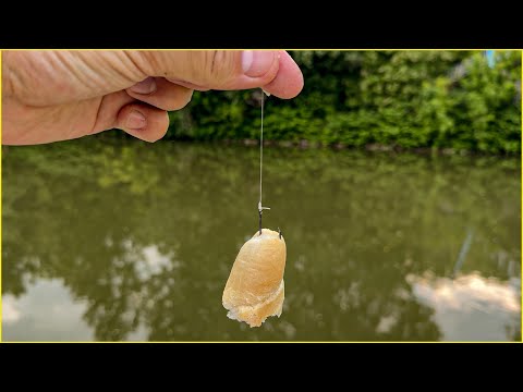 Nejlepší místa pro lov na rohlík z hladiny / Jednoduchá montáž pro mlaskačku