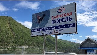 Рыбалка на енисее в саяногорске