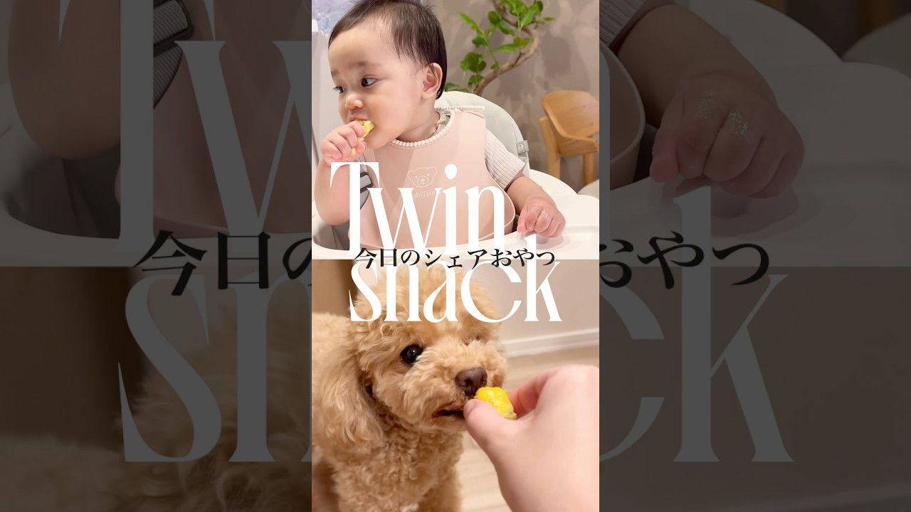 【犬と赤ちゃんのシェアおやつ】今日は大好きなさつまいもでスイートポテト！　#離乳食レシピ #手づかみ食べ #犬と赤ちゃん #赤ちゃんvlog #子育て