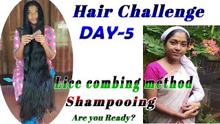 Hair challenge day-5long hair combingLice pickingh