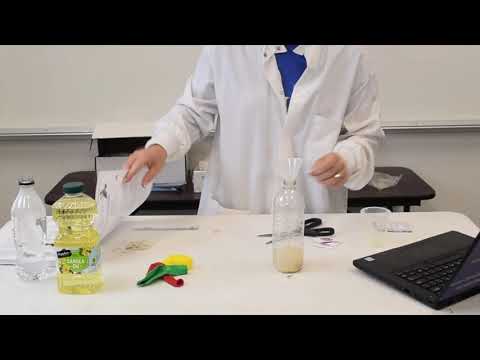 Lab 4 - Anaerobic Respiration of Yeast