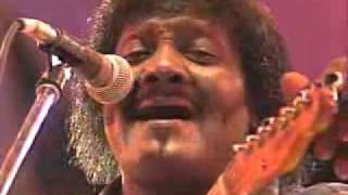 Albert Collins - Iceman