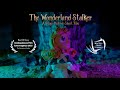 The Wonderland Stalker Short Stop Motion Film