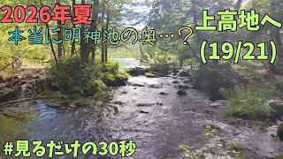 上高地散策2026.8.13(19/21)明神エリア奥