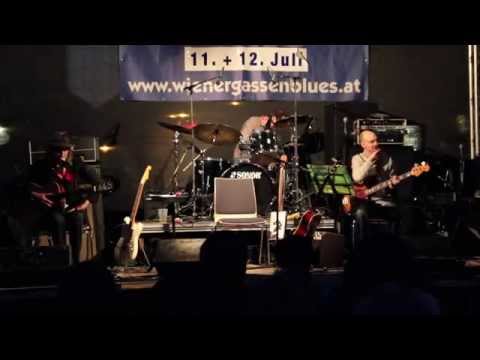 Wienergassenblues 2014 - Big Daddy Wilson - John the Revelator